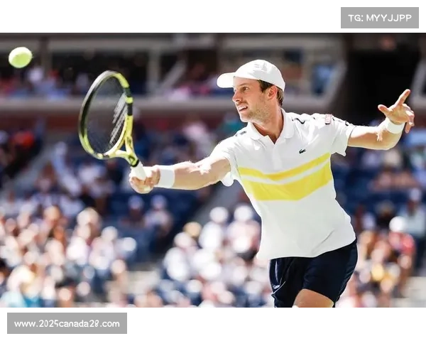 梅德韦杰夫美网煽动观众,争议判罚引发混乱